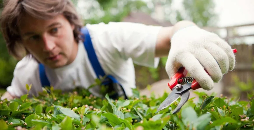 Landscaping: The Best Idea You’ve Ever Had - 开云体育下载1