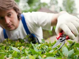 About Garden Hub - 开云体育下载1