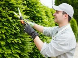 关于 Garden Hub - 开云体育下载1